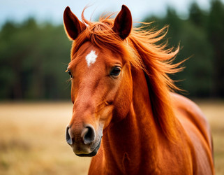 Similar image 22441167