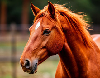 Similar image 22441175