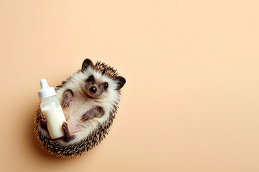 Similar image 22441180