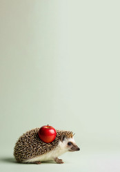 Similar image 22441194