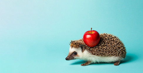 Similar image 22441199