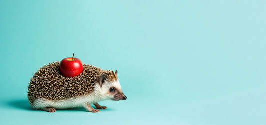 Similar image 22441201