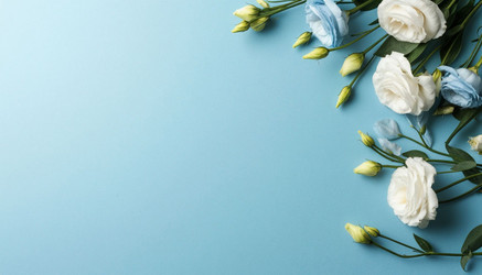 Similar image 22441337