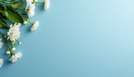 Similar image 22441341