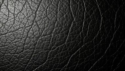 Similar image 22441423