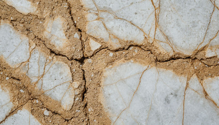 Similar image 22441426