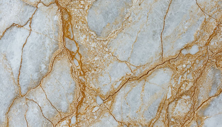 Similar image 22441430