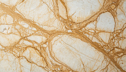 Similar image 22441434