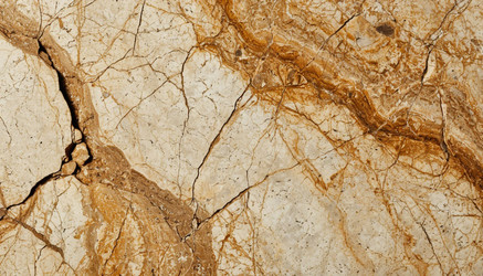 Similar image 22441438