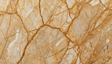 Similar image 22441440