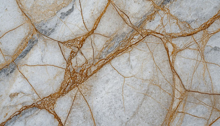 Similar image 22441444