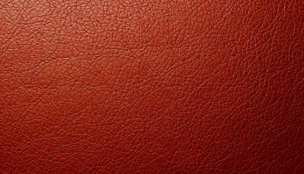 Similar image 22441449