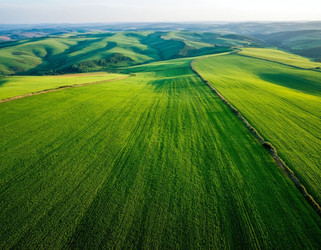 Similar image 22441450