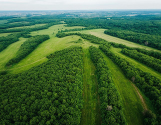 Similar image 22441454