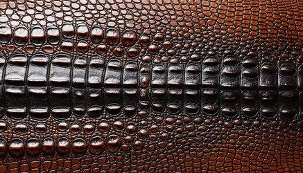 Similar image 22411921