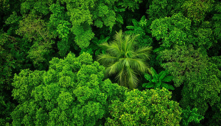 Similar image 22411989