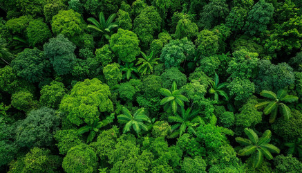 Similar image 22412374