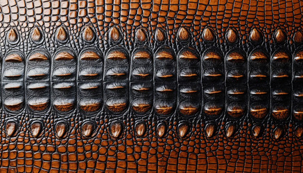 Similar image 22412436