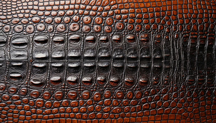 Similar image 22414914