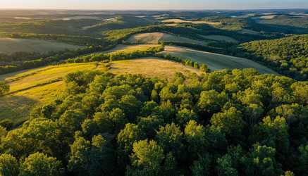 Similar image 22441466