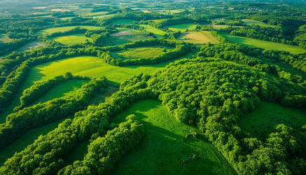 Similar image 22411922