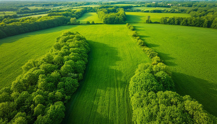 Similar image 22412114