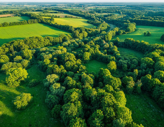 Similar image 22412175