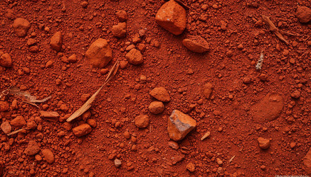 Similar image 22441472