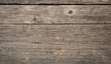 Similar image 22441996