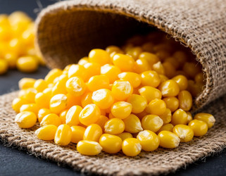 Similar image 22442073