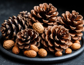 Similar image 22442076