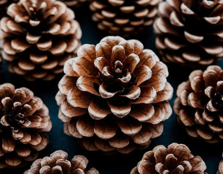 Similar image 22442078