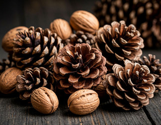 Similar image 22442080