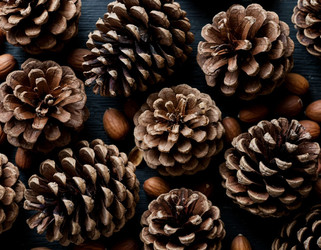 Similar image 22442082