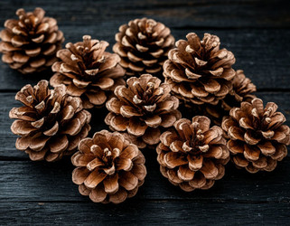 Similar image 22442142