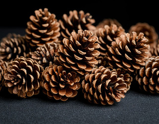 Similar image 22442144