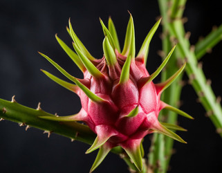 Similar image 22442147