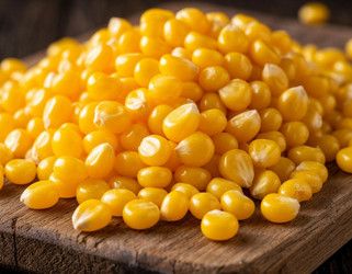 Similar image 22442154