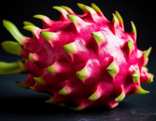 Similar image 22442155