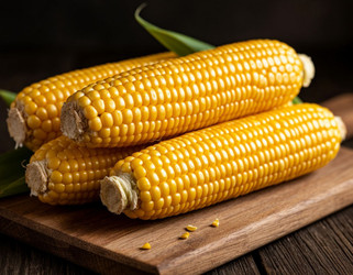 Similar image 22442160