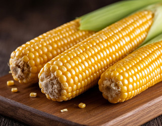 Similar image 22442164