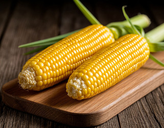 Similar image 22442166