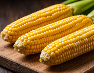 Similar image 22442168