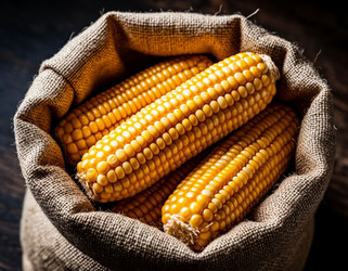 Similar image 22442172