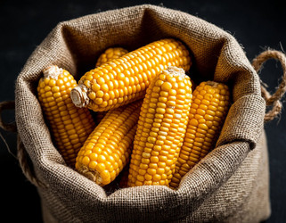 Similar image 22442176