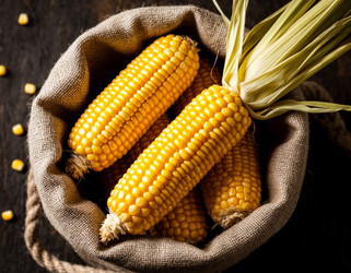 Similar image 22442178