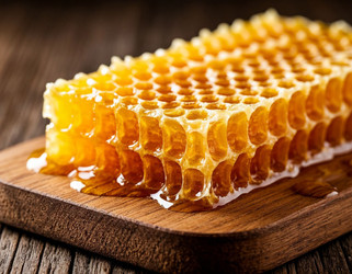 Similar image 22442192