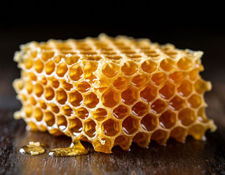 Similar image 22442201