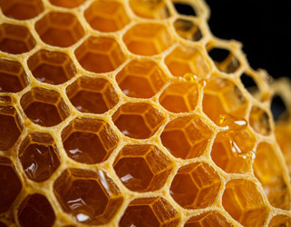 Similar image 22442207