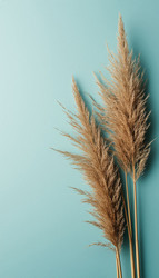 Similar image 22442249